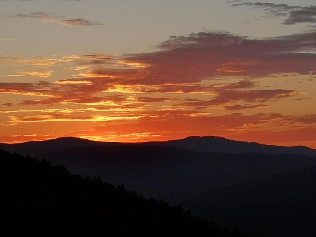 Ferienland Sonnenwald Fewo 46 Und Studio 50 In Schoefweg Bayerischer Wald المظهر الخارجي الصورة