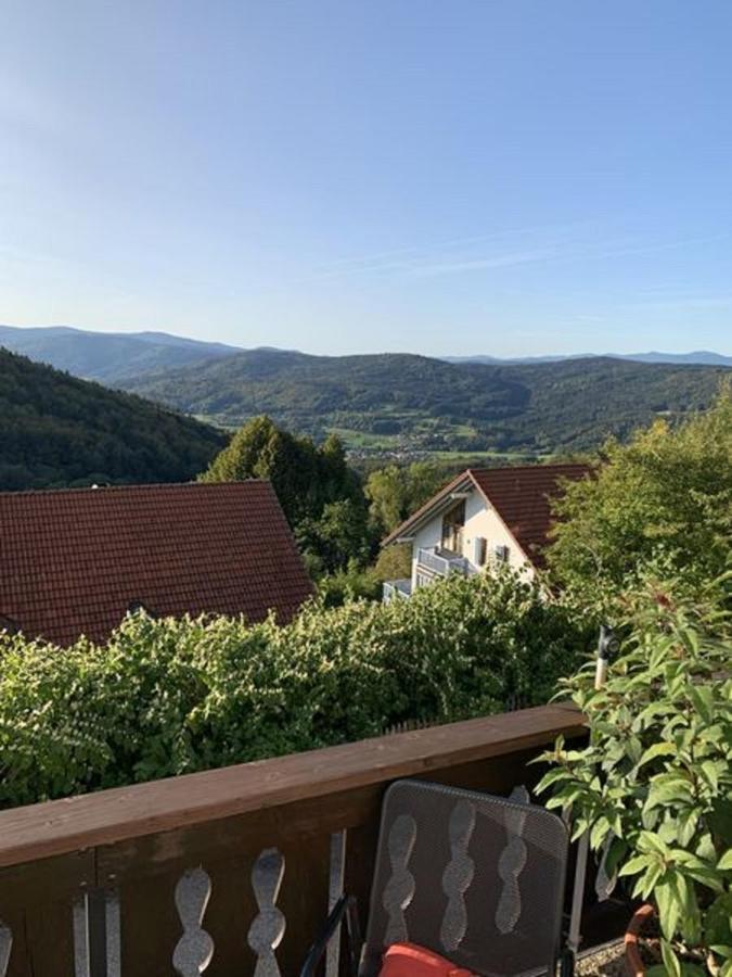 Ferienland Sonnenwald Fewo 46 Und Studio 50 In Schoefweg Bayerischer Wald المظهر الخارجي الصورة
