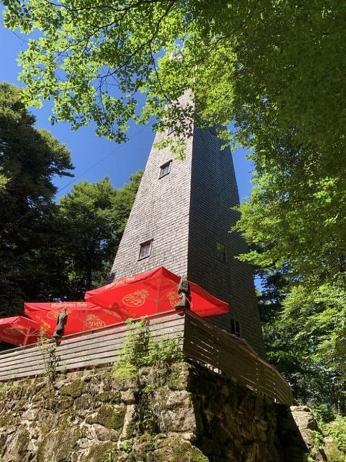 Ferienland Sonnenwald Fewo 46 Und Studio 50 In Schoefweg Bayerischer Wald المظهر الخارجي الصورة