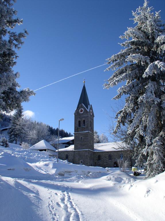 Ferienland Sonnenwald Fewo 46 Und Studio 50 In Schoefweg Bayerischer Wald المظهر الخارجي الصورة