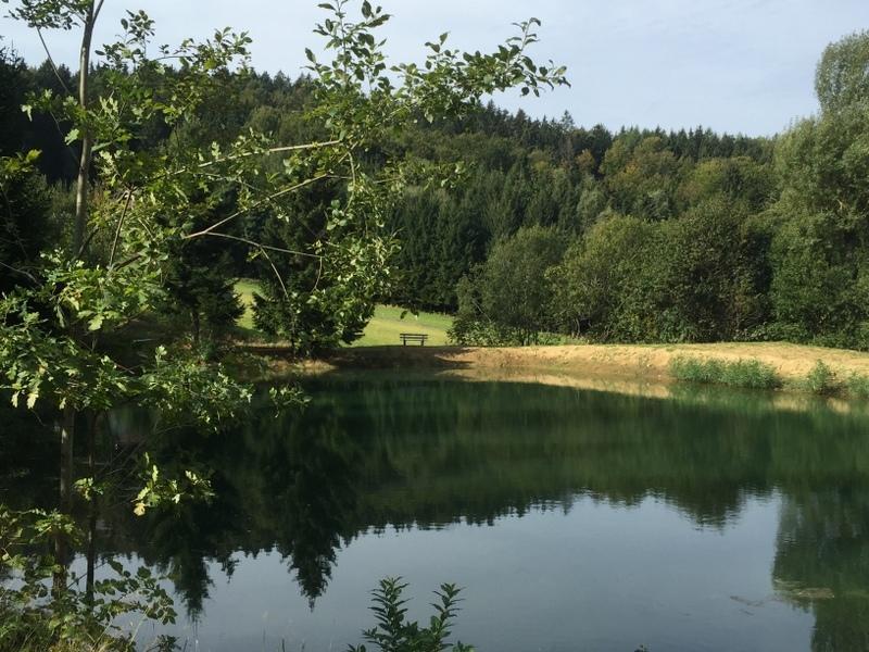 Ferienland Sonnenwald Fewo 46 Und Studio 50 In Schoefweg Bayerischer Wald المظهر الخارجي الصورة