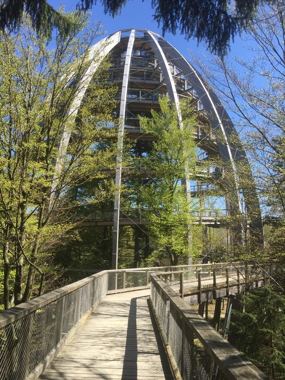 Ferienland Sonnenwald Fewo 46 Und Studio 50 In Schoefweg Bayerischer Wald المظهر الخارجي الصورة