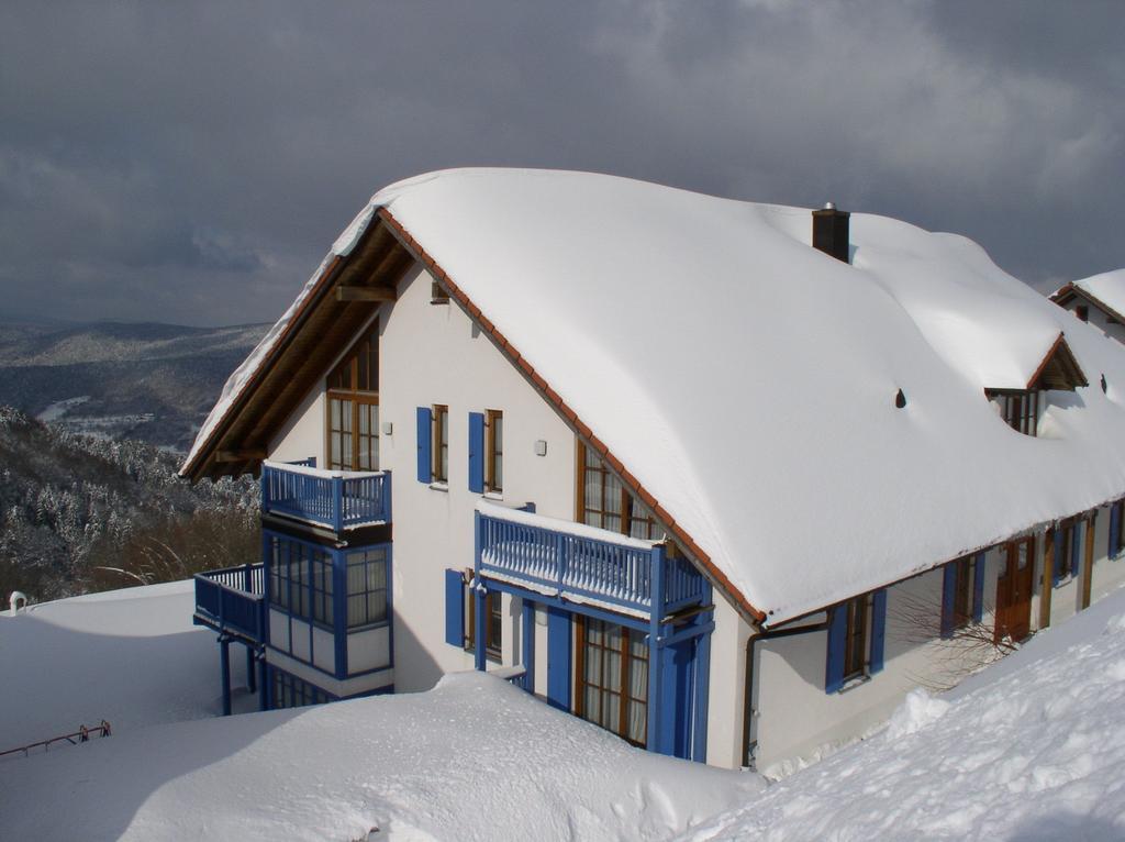 Ferienland Sonnenwald Fewo 46 Und Studio 50 In Schoefweg Bayerischer Wald المظهر الخارجي الصورة
